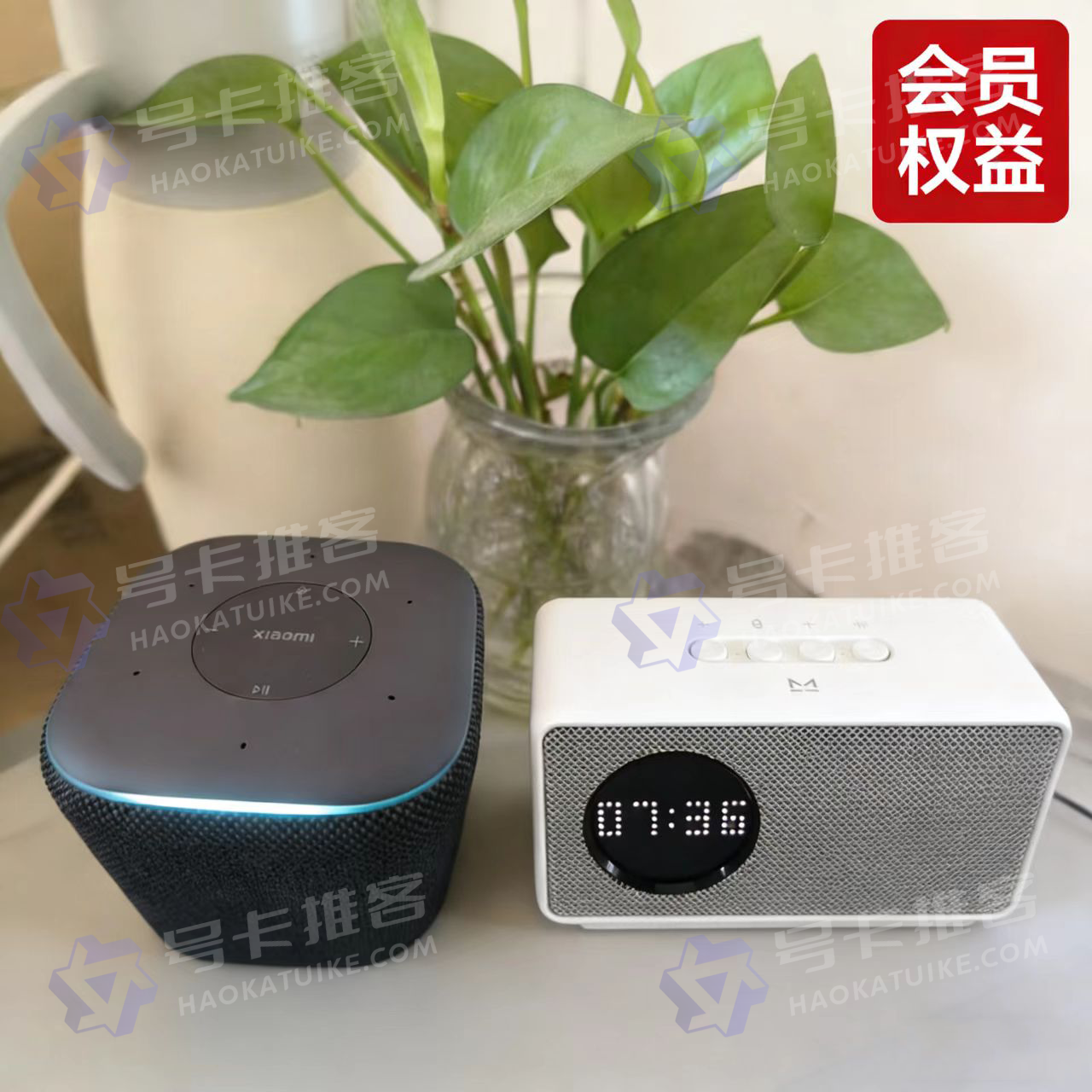 小爱小米音箱会员天猫精灵会员（独家优选账户）-好卡推客